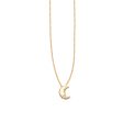 14K Gold .005ct Diamond Moon Necklace Online Hot Sale