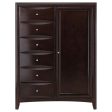 Phoenix Brown Door Chest Online