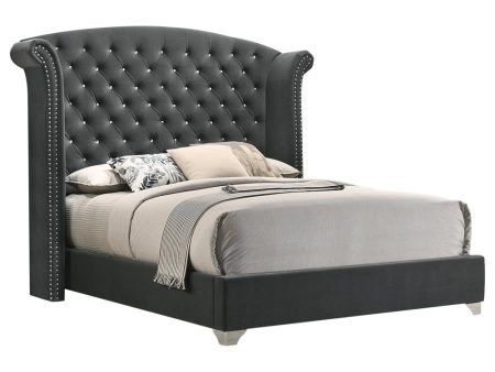 Melody Grey Queen Bed For Cheap