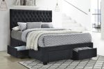 Soledad Grey Eastern King Storage Bed Supply