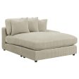 Blaine Beige Sectional Discount