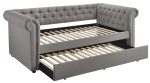 Kepner Grey Twin Daybed W  Trundle For Sale