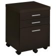 Skylar Brown File Cabinet For Sale