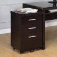 Skeena Brown Storage Cabinet Discount