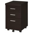 Skeena Brown Storage Cabinet Discount