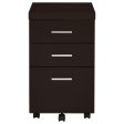 Skeena Brown Storage Cabinet Discount