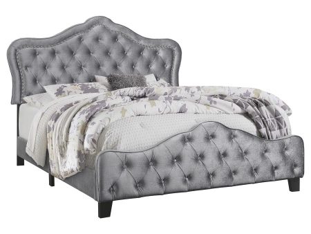 Bella Grey Queen Bed Hot on Sale