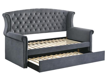 Scarlett Grey Twin Daybed W  Trundle on Sale